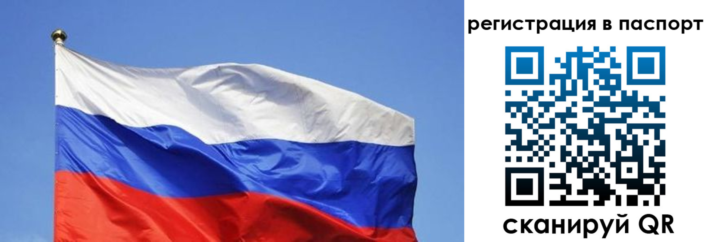 прописка в квартире в Белореченске